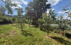 Cabana 100mp cu 30 ari teren 160000eur neg - 1