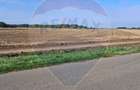Teren 21,177mp Santaul Mic / Strada - - 1