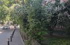 Apartament 3 camere Teius, Rahova etaj 1 - 2