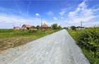 Teren generos si versatil - 10.850 mp | Balta Blonda | Diverse proiecte - 8