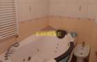 Apartament 2 camere de lux, mobilat, utilat, etaj 2, Zona: Piata Mare, 500 euro - 9