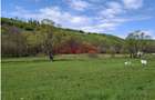 Teren de vânzare – Sovata, Săcadat - 2