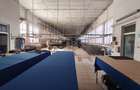De vanzare Cladire Industriala Filiasi (250 m de DN6/E70) - 8