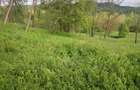 TEREN DE VANZARE IN ZONA DE DEAL  | SULTANU | VISINESTI - 6