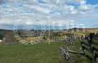 Teren intravilan ideal pentru investitie 1716mp | Front 38m | Marisel - 3