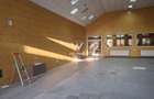 Spatii de inchiriat pentru productie/ industrial, Sibiu - 6