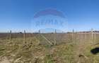 Teren intravilan de vanzare 2.500mp Lazu  Strada Olarilor Constanta - 5