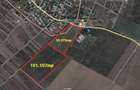Teren 157.000mp Mogosesti | Giurgiu - 2