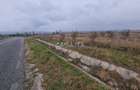 Teren Intravilan(1200 mp), situat in Targu Jiu Str. Ciocarlau - 5