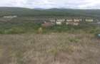 teren extravilan 3640 mp Strada Stejarului - 7