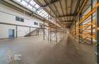 Hala industriala 856mp, Aradul Nou - 26