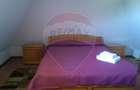 Vanzare 3 case de vacanta si 15750 mp teren, Botiza, Maramures - 10
