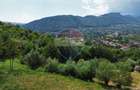 Teren 1,000mp Sohodol, cu utilitati / Strada Sohodol - 6