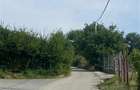 Teren de vanzare in Rasinari - 6