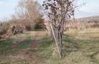 Teren intravilan 21€/mp  suprafața 3360 mp - 3