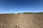 TEREN EXTRAVILAN DE VANZARE | 23 EURO/MP | 2900 MP | ZONA AEROPORT - 2