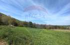 Teren intravilan de vânzare – Copalnic Mănăștur – 3.000 mp - 2