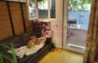 Apartament frumos și cochet cu centrală proprie aproape de Parcul IOR - 28