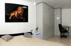 De Inchiriat Apartament 2 Camere +Garaj, Metropolitan Viilor - Filaret - 3