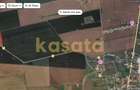 Teren agricol 23.000 mp – 2 Mai, Constanța | Deschidere dublă la drum - 1