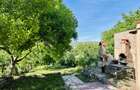 Casă de vânzare în cartierul Gruia – 140 mp utili și teren de 834 mp - 9