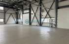 Royal Imobiliare-  Spatiu Industrial Zona Exterior Vest - 6