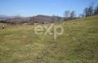 Vand Teren in Curtea de Arges suprafata 5000mp - 3