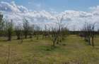 VISUL TĂU LA ȚARĂ, LA DOAR 60 KM DE BUCUREȘTI! Teren intravilan 8402 mp + Casă  - 15