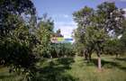 Teren intravilan comuna Bogati sat Birloi Jud. Arges - 10