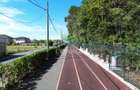Teren - Voluntari - vis a vis de Padure - 10.000 mp - 5