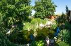 Hotel Bielmann,unicitate si profitabilitate optima in turism, Sanpetru, Brasov - 44