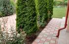 Vila Valea Adinca  cod 156481 - 15