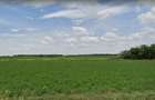 Teren de vanzare, extravilan, 1.090 mp, deschidere de 20 ml, Ampoita - 1