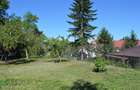 Curtea de Arges - Ultracentral - Casa autentica 180 mp, Teren 1336 mp - 16