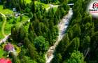 Cabană de Vânzare în Tarcău – Natură, Relaxare și Pescuit la Poartă! - 1