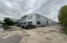 Vanzare depozit/hala/spatiu industrial/showroom/birouri Otopeni - Balotesti - DN - 3