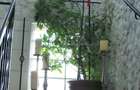 Vila superba 2012, P+1+M, 10+ camere, posibilitate business gradinita sau centru - 35