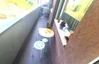 3 camere, modern, open space, parcare, Manastur, Mehedinti, - 7