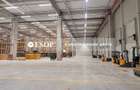 Eli Park 3, Spatii Industriale, Logistica/Depozitare, 2.100 - 5.300mp - 5