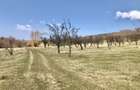 Vanzare teren intravilan- livezi - 8