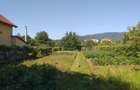 Teren Intravilan Vanzare 1400 mp. Alba Micesti deschidere 16m. Toate Utilitatile - 4