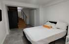 Duplex - Pet Friendly - curte proprie – Tei - 7