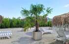 Apartament 2 camere - 1