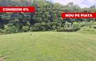Teren intravilan 1203 mp Bascov-Florea zona Superba - 1