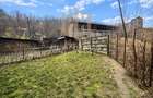 Casă duplex - P+M, Baia Sprie - 16