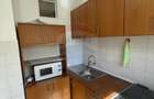 Apartament cu 1 camera in Micalaca - 9
