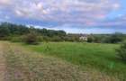 Teren intravilan in Gepiu - 4