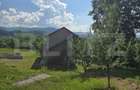 Livada de vanzare, 16.000 mp, zona Hodac