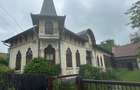 (102) Vilă turistica cu stil în Domnești Argeș - 1