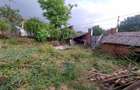 Socol | Casa 7 Camere | Parter + Pod | 546MP Teren - 15
